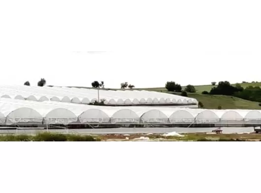 KURULUM FİYATINA SAHİBİNDE SATILIK SERA