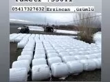 Sılaj küspe
