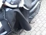 Yamaha cygnus