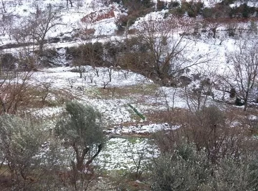 İzmir Bayındır Kızılkeçili Mahallesinde Çok uygun fiyata 4256 m2 satılık tarla