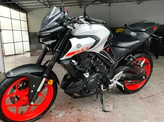Yamaha MT 25
