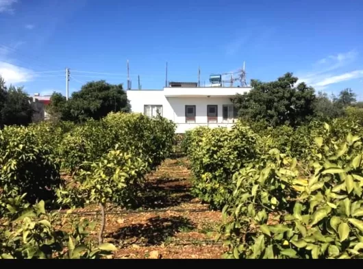 Satılık Müstakil Ev