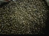 SATILIK SARİ KİZ FASULYE TOHUMU