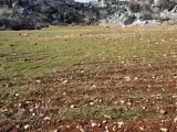 Gülnar Kayrak Köyde Satılık Tarla