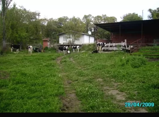 BALIKESİR BALYA KAYALAR KOYUNDE SATILIK ÇİFTLİK