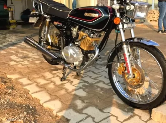 TERTEMİZ Kuba Çita 100R Gold