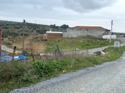 Manisa Tilki Sülaymaniye’ de 1460 m2 Tek Tapu Üzüm Bağı