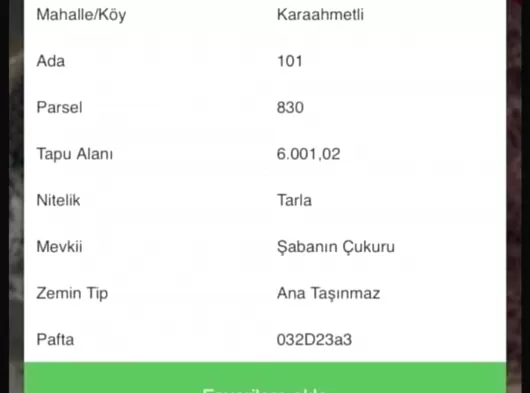 ERDEMLİ KARAAHMETLİ DE SATILIK TARLA