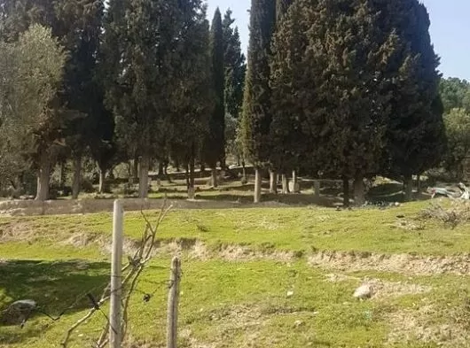 SARUHANLI BÜYÜKBELEN MAHALLESİNDE 906 M2 TEK TAPU BAHÇE