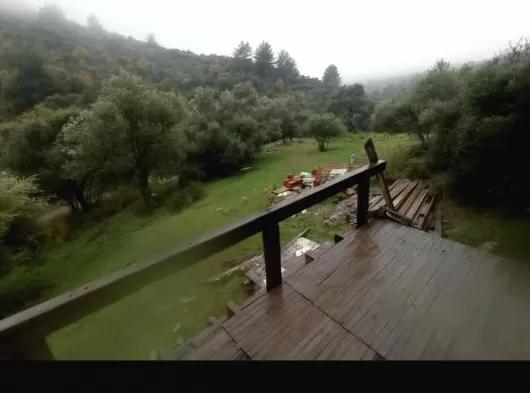 Bayındır Arikbasi Mahallesinde 3200 M2 Zeytinlik