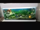 Satılık Akvaryum