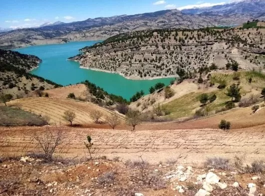 Oniki Şubat Maksutlu Mahallesinde Satlık Bağ