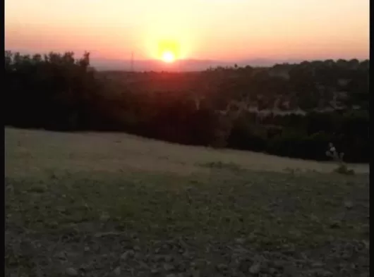 MANİSA KÖPRÜBAŞI RAĞILLAR MAHALLESİ 3905 m2 TEK TAPU ZEYTİNLİK