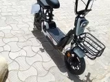 Hatasız Ceyranli