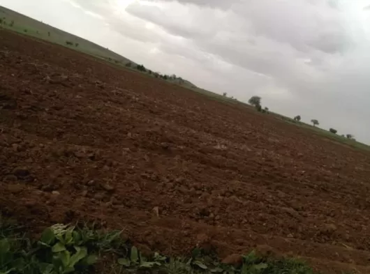 Meram Karadigin Mahallesi'nde Satılık Tarla