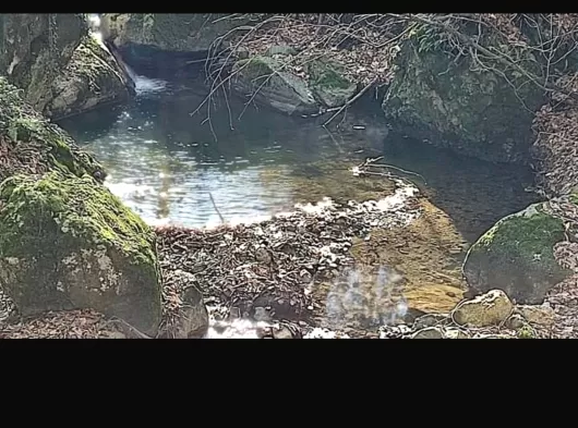 4.200 m2 İçinde Suyu ve Meyve Ağacı Olan Tarla