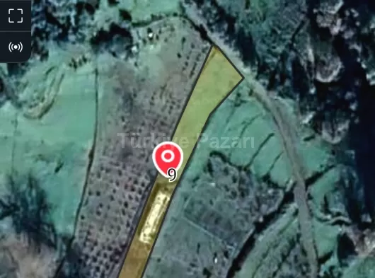 Satılık tarla doğa ile iç içe