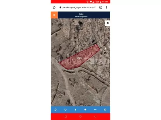 KAYSERİ İNCESUDA SATILIK BAĞ