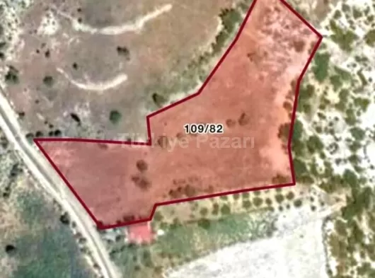 EKSEN HARİTA EMLAKTAN GÜLNAR IŞIKLI DA SATILIK TARLA