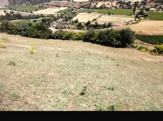 Sahibinden Müthis manzaralı Tarla