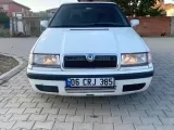 Değişensiz Felicia Tertemiz