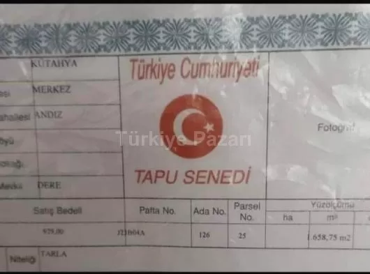 Yatırımlık tarla hissesi 3/1