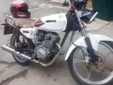 Falcon