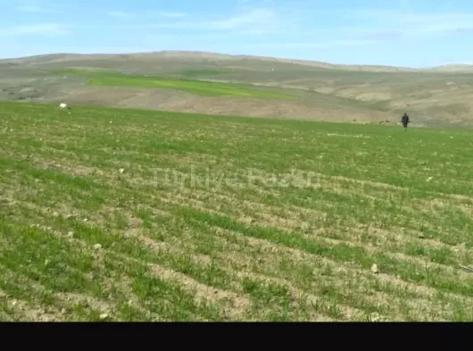 ANKARA ANTALYA YOLUNDA KONYA YUNAKTA SATILIK TARLA