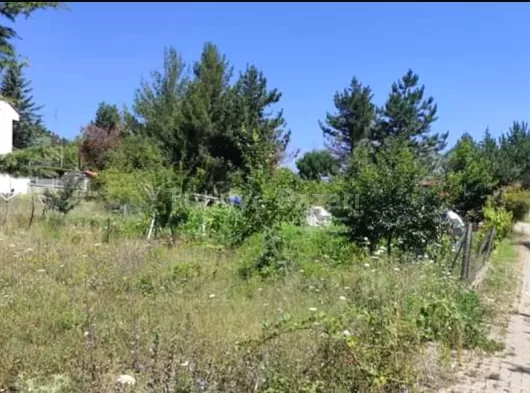 SATILIK KAR LASTİĞİ