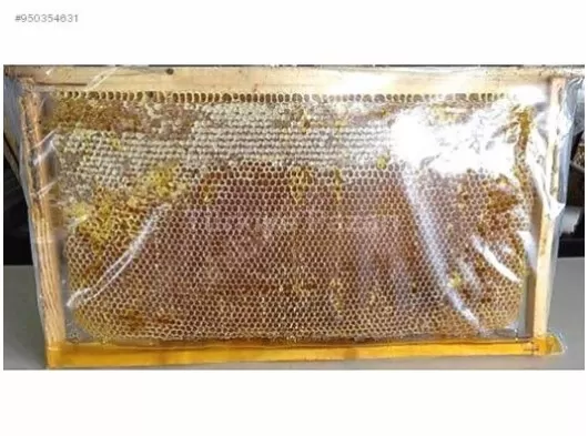 ERZİNCAN DOĞAL ÇİÇEK PETEK BALI KG: 500 TL   