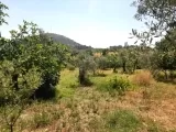 Muhtar Emlaktan İzmir Bayındır Kizilciagacta Satılık Tarla