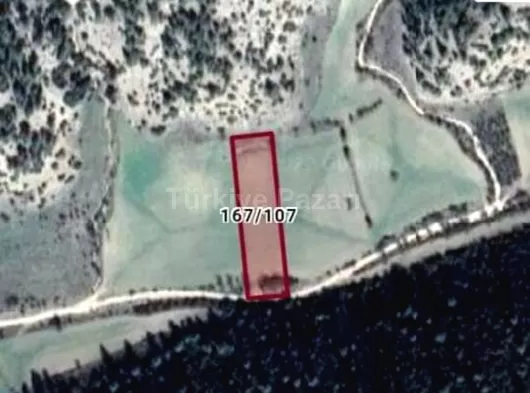 UŞAK ULUBEY BÜYÜKKAYALI KÖYÜ SATLIK TARLA