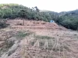 Satılık Bahçe