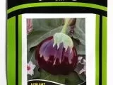 Euro Tohum Topan (Topak) Patlıcan Tohumu 5 GR.