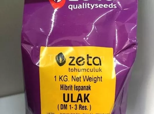 Euro Tohum Rio Grande (Salçalık) Domates Tohumu 3 GR.