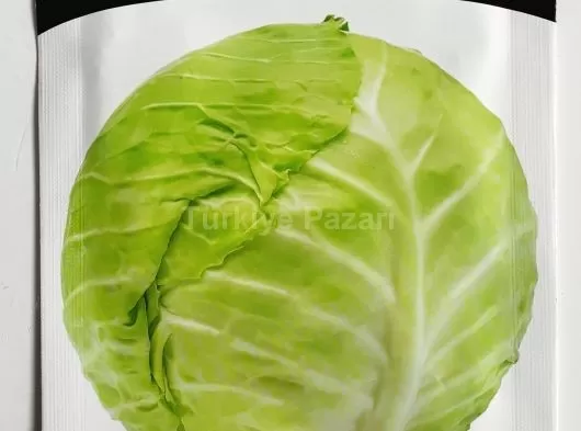 Euro Tohum Yalova Sarmalık Lahana Tohumu 5 GR.