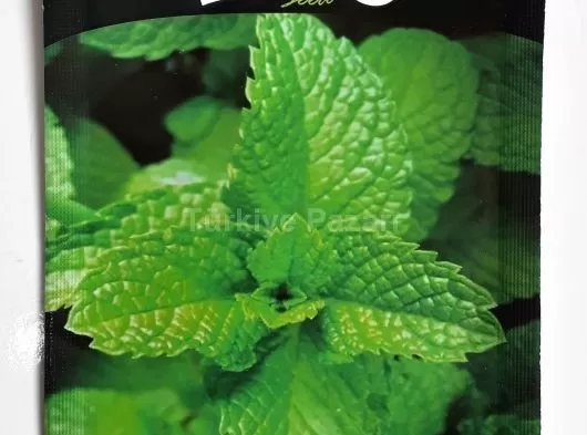 Euro Tohum Nane Tohumu (100 Adet Tohum)