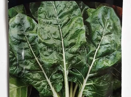 Açık Fındık Turp Tohumu 1 kg