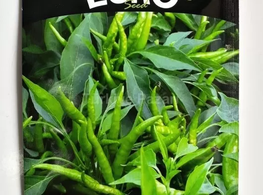 Euro Tohum Karadere Lahana Tohumu 5 GR.