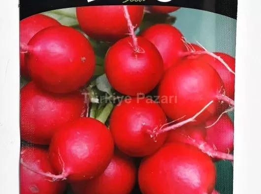 Euro Tohum Karadere Lahana Tohumu 5 GR.