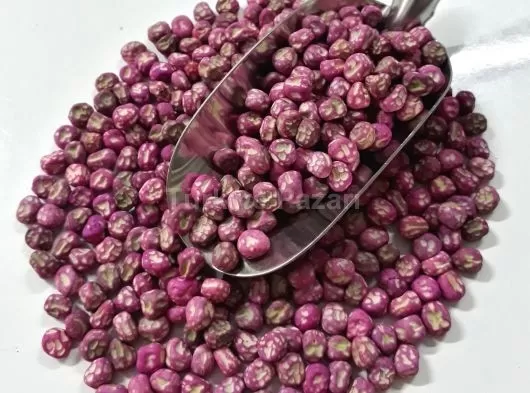 Euro Tohum Nane Tohumu (100 Adet Tohum)