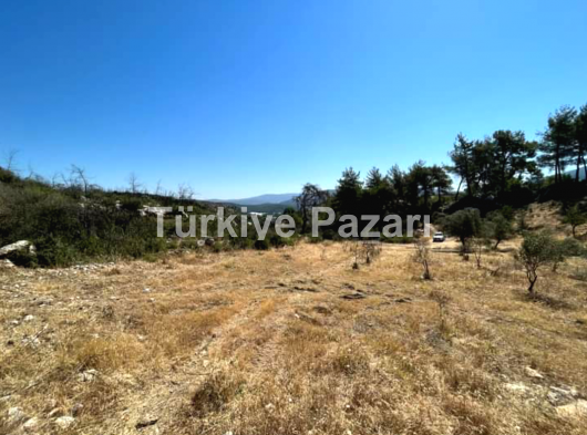 İZMİR MENDERES ÇİLEDE SATILIK TARLA