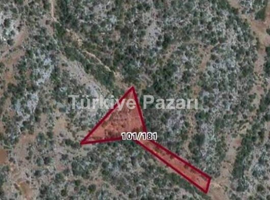 MERSİN MUT Haciahmetli köyünde satılık YAYLALIK ARAZİ