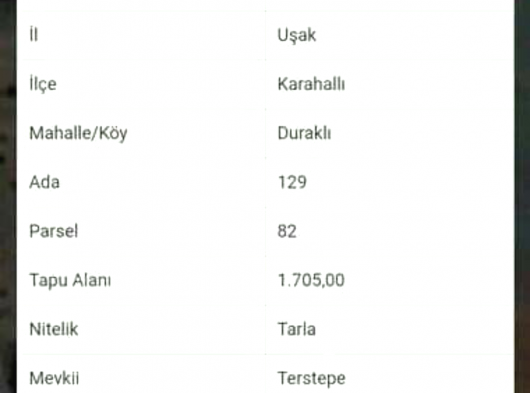 UŞAK KARAHALLI DURAKLI KÖYÜNDE SATıLIK TARLA