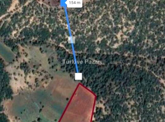 UŞAK ulubey buyukkayalı köyü 4,569 m2 tarla