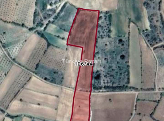 Denizli beyağaç Geriçam Mah Satılık Tarla