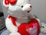 Peluş Ayıcık
