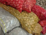 Tohumluk Patates Agire Melodi
