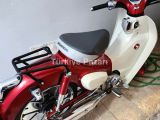 HONDA SÜPER CUP 125 cc