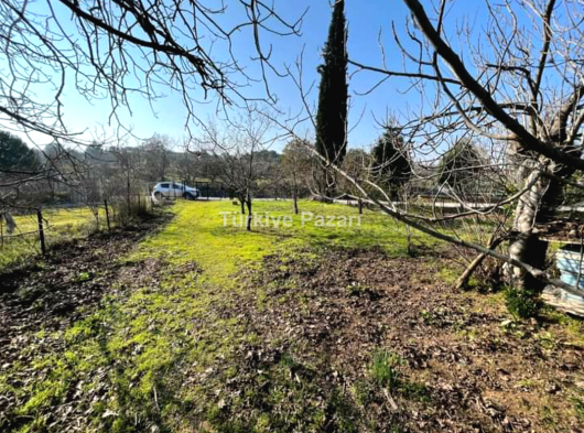 MENDERES ESKİ BULGURCA'DA ​240 m2 TARLA